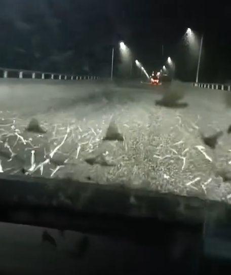 快讯-湖南沅江现大量蜉蝣如飞雪，救济队：堆了十几公分厚，轮胎都打滑(2)