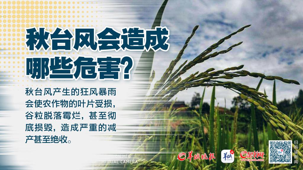 快讯-“尼格”已加强为台风级！一组海报告诉你：秋台风威力不可小视(3)