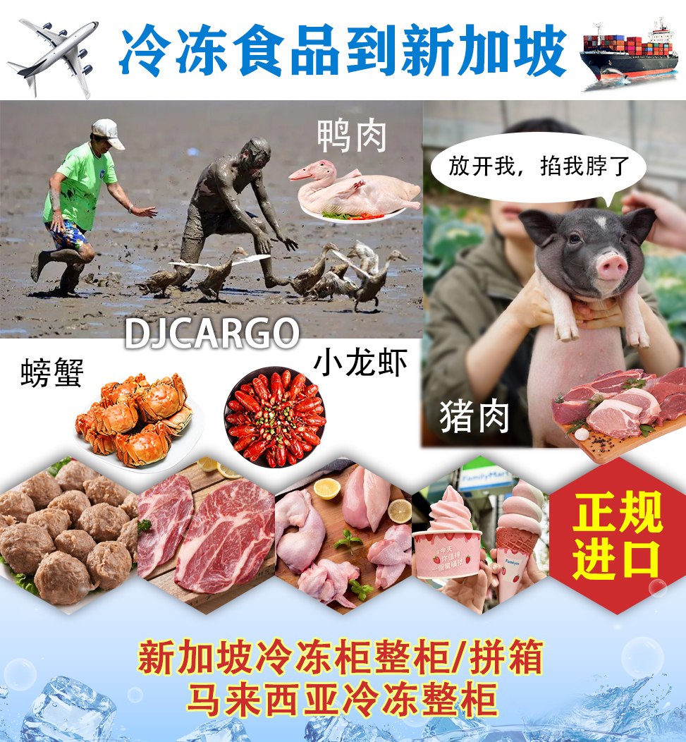 空运海运-冷冻食品到新加坡进口清关-新加坡人-优质物流(1)