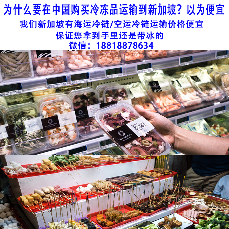 空运海运-你还在为不知道如何把冷冻品运输到新加坡吗?(2)