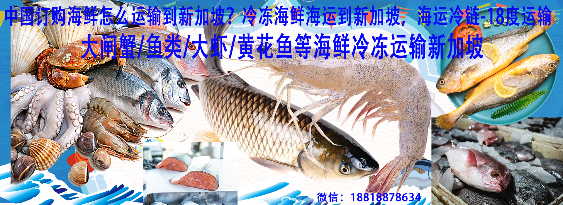 空运海运-你还在为不知道如何把冷冻品运输到新加坡吗?(1)