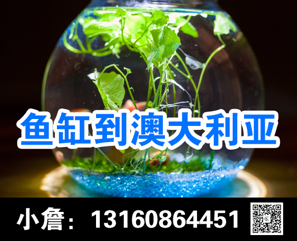 空运海运-国内鱼缸-大理石-航空箱-按摩椅海运到澳大利亚-专线(1)