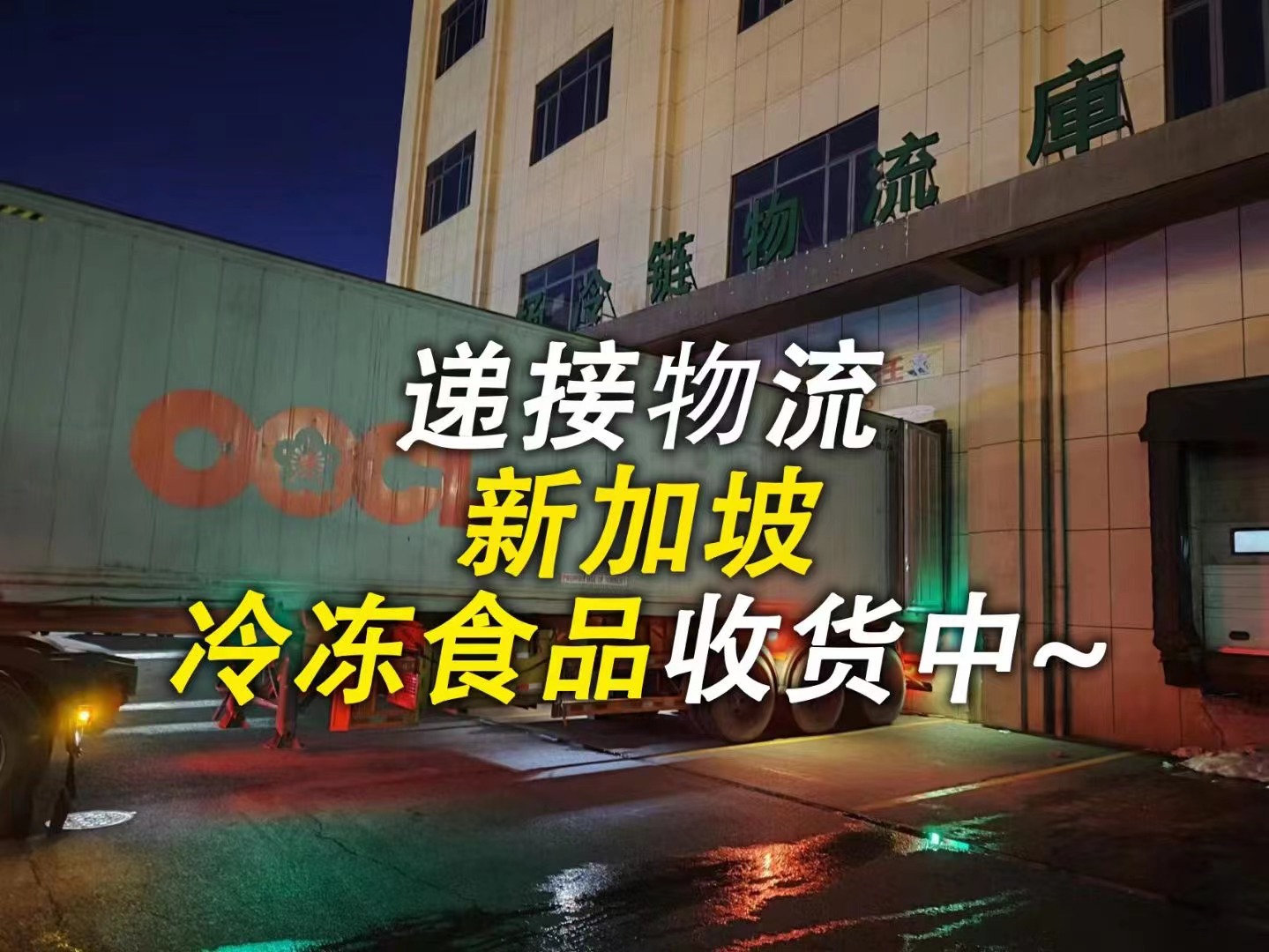 空运海运-冷冻柜20尺/40尺海运新加坡双清物流-散货/整柜均可运输(1)