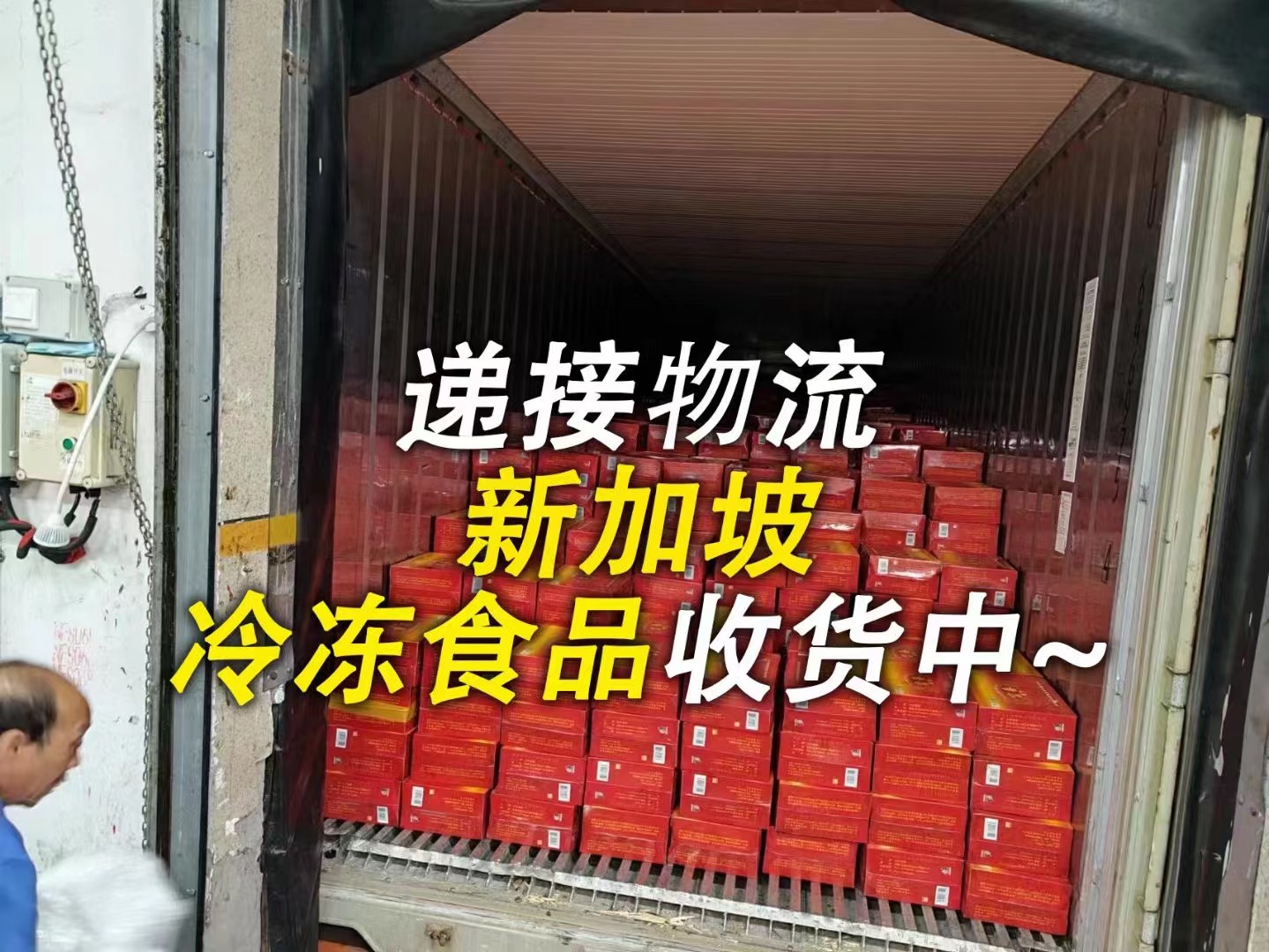 空运海运-冷冻柜20尺/40尺海运新加坡双清物流-散货/整柜均可运输(2)