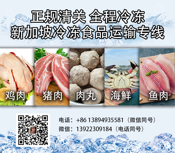 空运海运-冷冻柜20尺/40尺海运新加坡双清物流-散货/整柜均可运输(3)