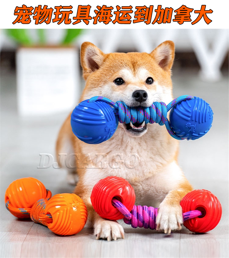 空运海运-【宠物玩具到加拿大】中国玩具海运拼箱到加拿大价格(1)