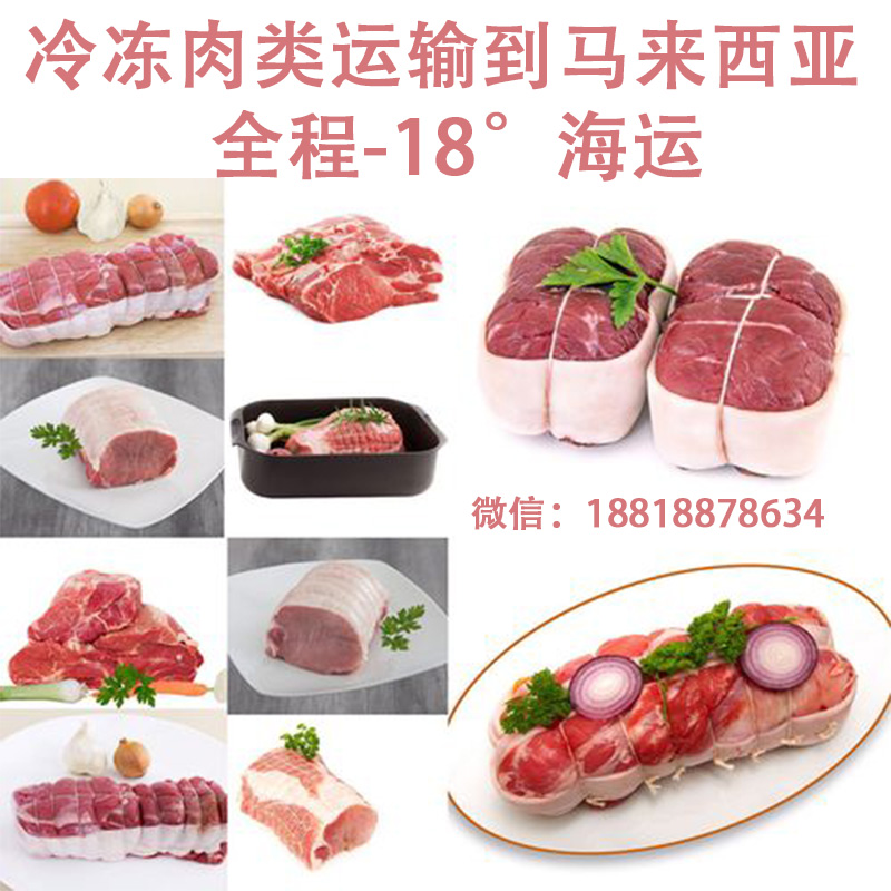 空运海运-（冷冻专线）冷冻鸡，鸭，鹅，猪肉类拼箱海运到马来西亚(2)