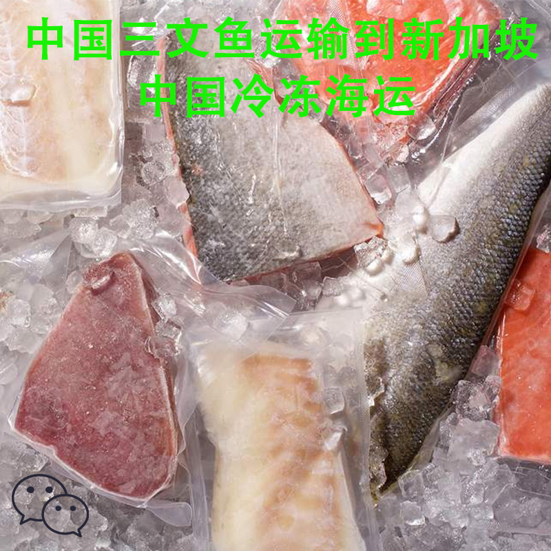 中国福建冷冻产品运输到新加坡，王小姐运输攻略分享