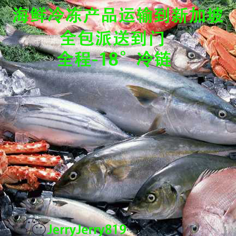 空运海运-中国福建冷冻产品运输到新加坡，王小姐运输攻略分享(2)