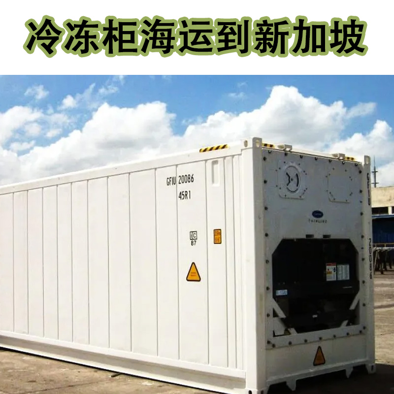 空运海运-运输一个4GP冷冻柜到新加坡要多少钱？(1)