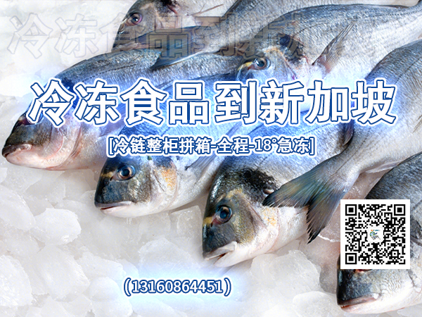 空运海运-冷冻烧烤材料-烤串-年糕冷冻柜拼箱到新加坡-DJCARGO(1)