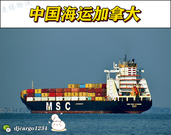 空运海运-儿童玩具海运到加拿大，儿童玩具整柜拼箱到加拿大-10(1)