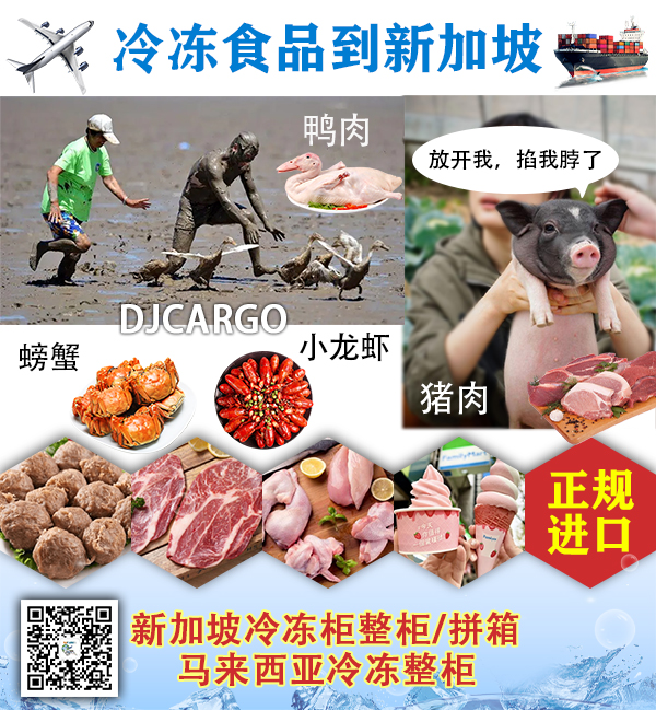 空运海运-冷冻食品海运到新加坡，冷冻食品冷链拼箱到新加坡-4(1)