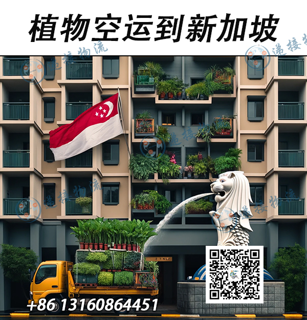 空运海运-植物空运到新加坡3天到达【专业运输中国到新加坡植物】(1)