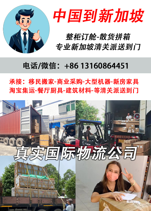 空运海运-沙发海运到新加坡~沙发到新加坡清关~沙发到新加坡派送(1)