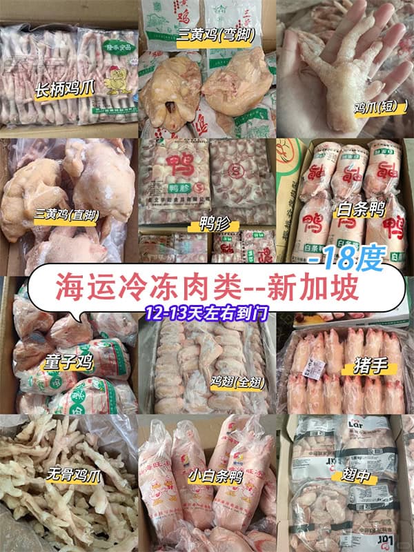 空运海运-无需进出口资质，轻松寄送冷冻食品到新加坡(2)