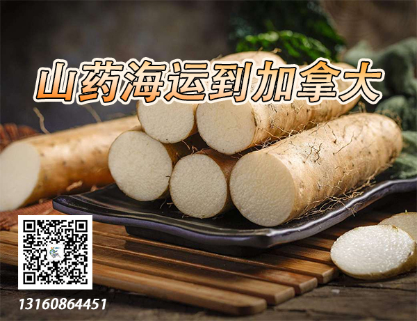 空运海运-山药、甜点、海带结海运冷链到加拿大冷冻柜运输庄家(1)