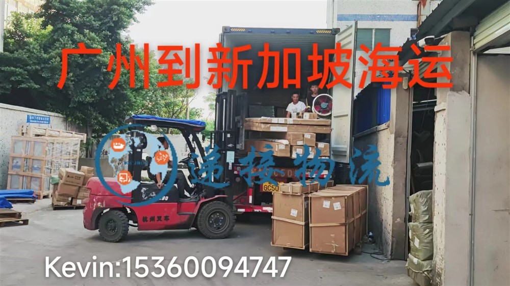 空运海运-广州海运到新加坡双清门到门专线物流运输（拼柜/整柜）(3)
