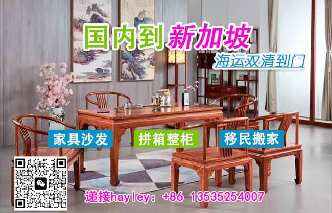 空运海运-中国至新加坡物流捷径：双清关、门到门一站式服务(1)
