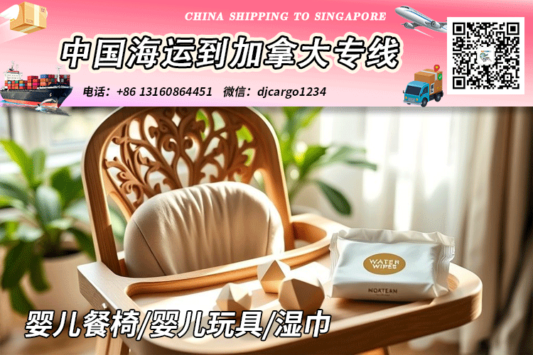 空运海运-婴儿餐椅/婴儿玩具/湿巾海运到加拿大CA温哥华、多伦多→...(1)