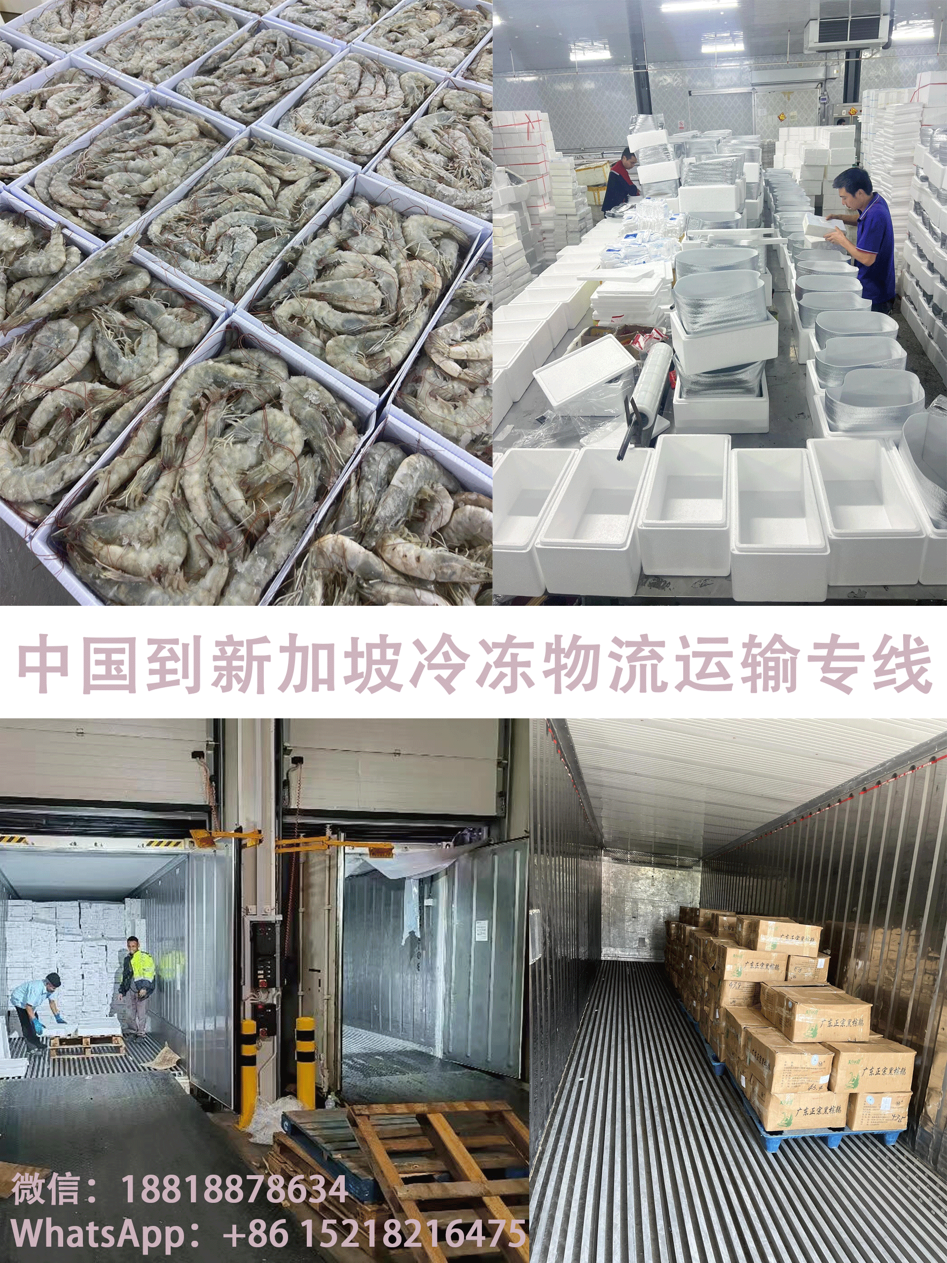 空运海运-冷冻肉类、海鲜、素食海运至新加坡，专业冷链海运(2)