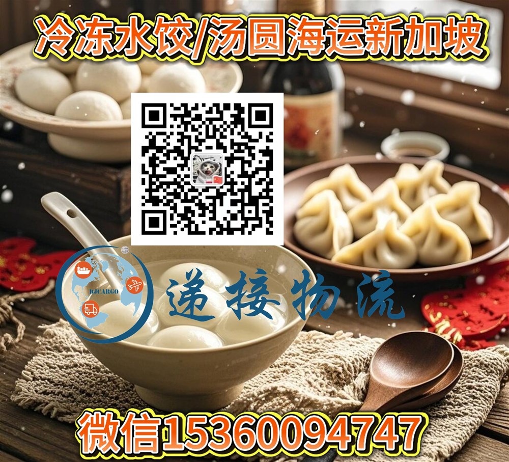 空运海运-冷冻汤圆，包子，水饺海运冷链到新加坡包清关(1)
