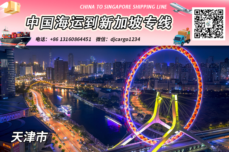 空运海运-天津海运整柜到新加坡清关派送，可帮忙代付人民币货款(1)