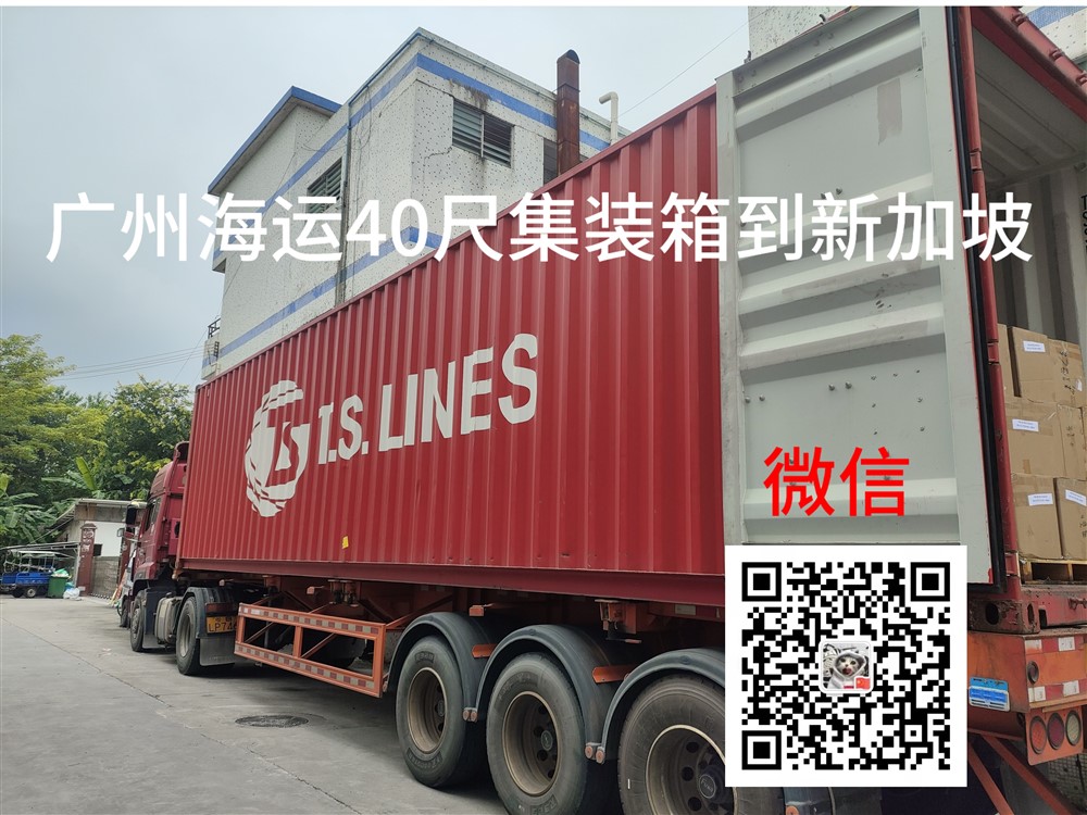 空运海运-广州海运20尺/40尺集装箱到新加坡双清门到门优质物流服务(2)