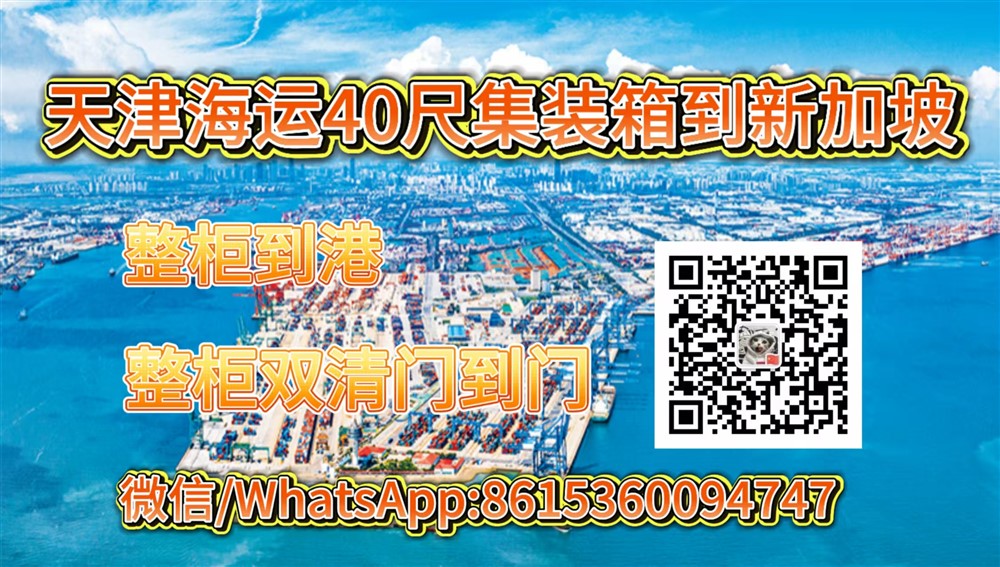 空运海运-在河北省装柜，从天津海运20尺/40尺集装箱到新加坡双清到门(1)