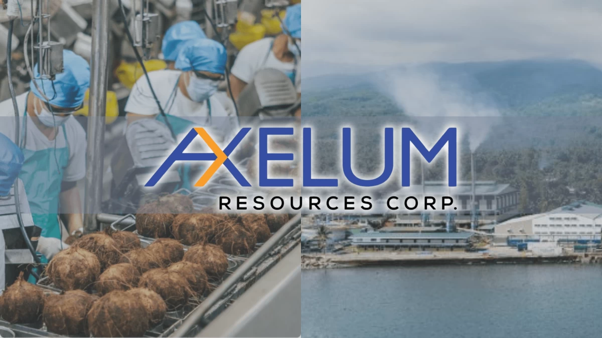 金融信息-尽管美国加征关税，椰子价格高企，Axelum 的利润仍飙升 88%。(1)