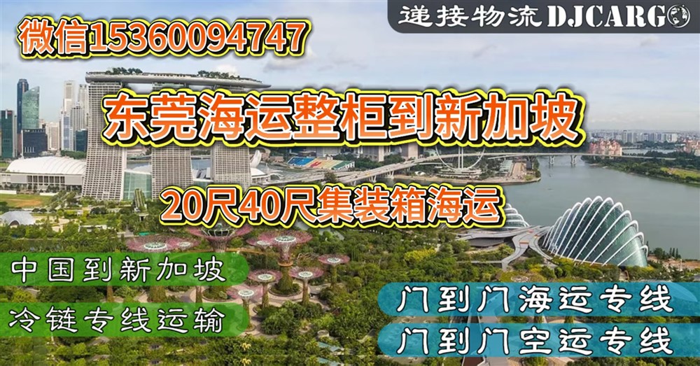 空运海运-从东莞，惠州海运20尺40尺集装箱整柜到新加坡双清门到门(1)