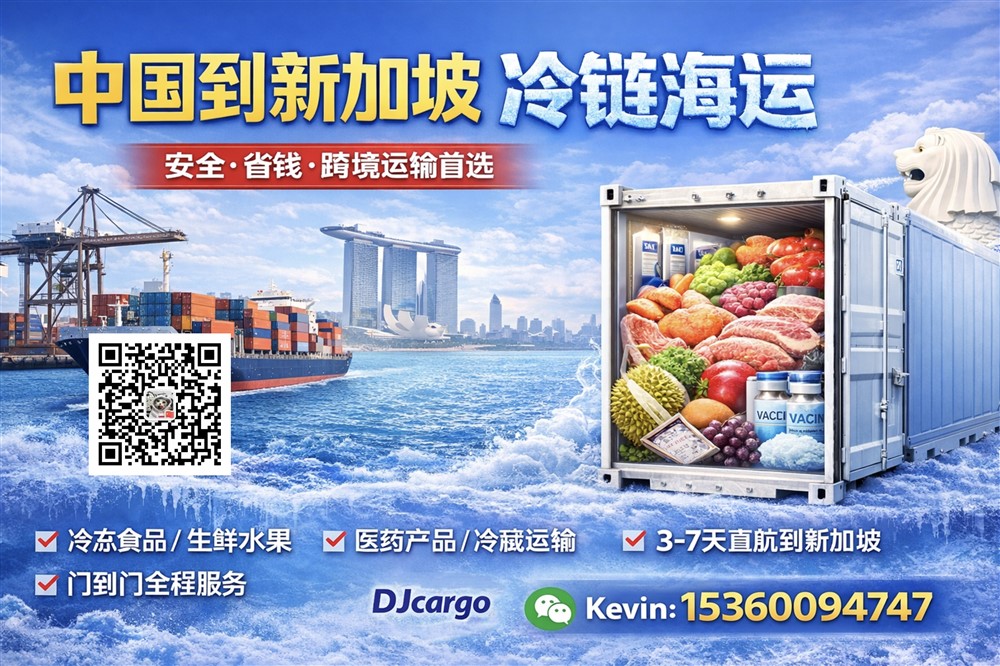 空运海运-中国冷冻食品怎么海运到新加坡？新加坡海运冷冻专线服务(1)