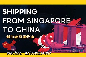 空运海运-新加坡遗失物品寄回国｜上门取件送货到家(1)