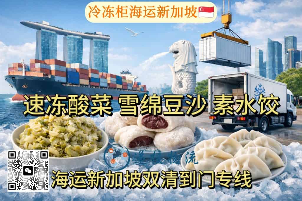空运海运-东北特色冷冻素食海运新加坡，双清到门，12天锁鲜抵达(1)