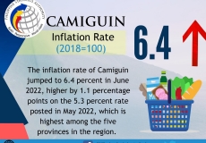 卡米金的通货膨胀率进一步加速至 6.4%
